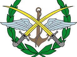 Aleppo Website News